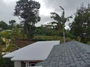 Corrugated metal roof with pitched design on residential home with mature trees