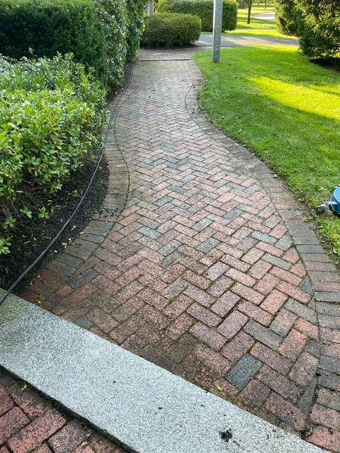 Herringbone brick paver walkway with concrete edging and landscape borders