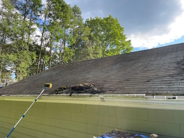 New asphalt shingle roof with installed gutters on residential home